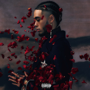 日本巨乳人妖射精视频
